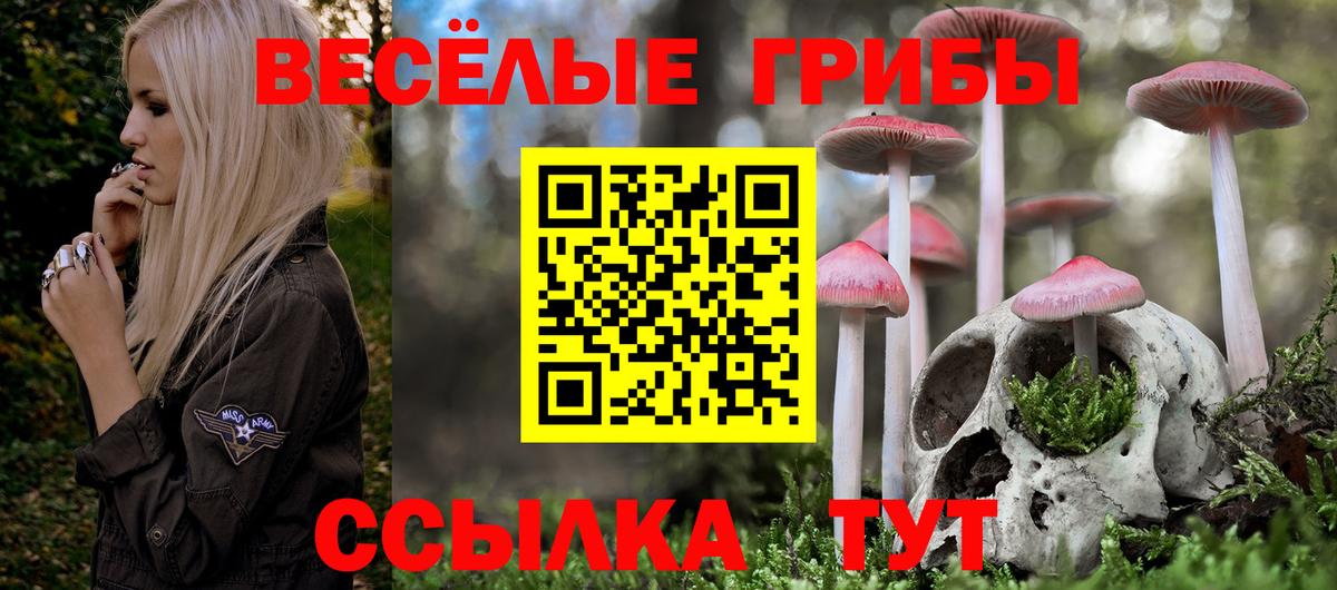 Галлюциногенные грибы прущие грибы  где купить   Севастополь  Вход с VPN 