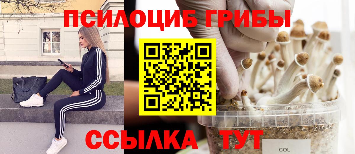 Псилоцибиновые грибы ЛСД Севастополь